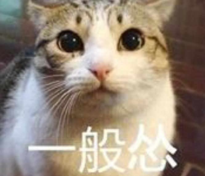 你是一個慫貨嗎？