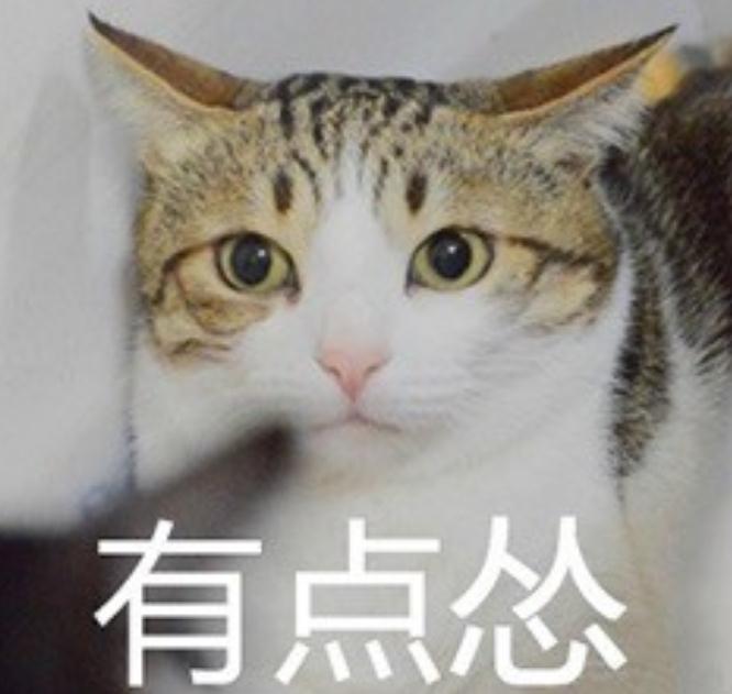你是一個慫貨嗎？