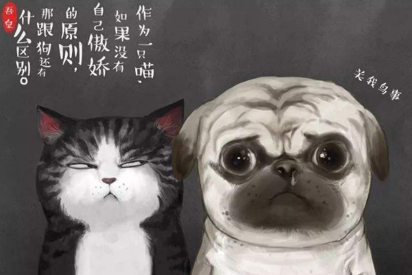 看不慣別人是因為你還不成熟