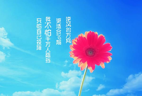 學(xué)會(huì)怎樣表達(dá)自己的訴求