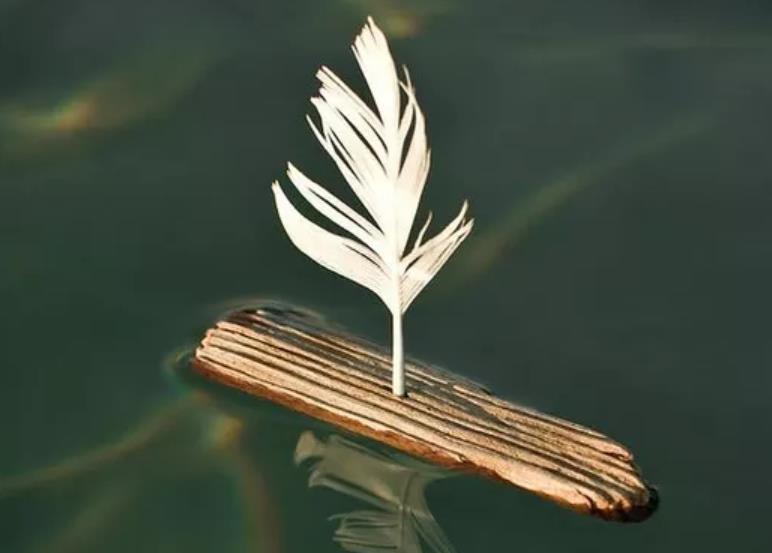 怎樣對(duì)抗虛無主義