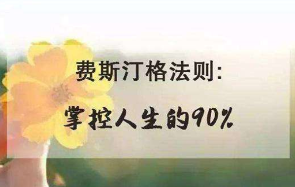費(fèi)斯汀格法則是什么意思