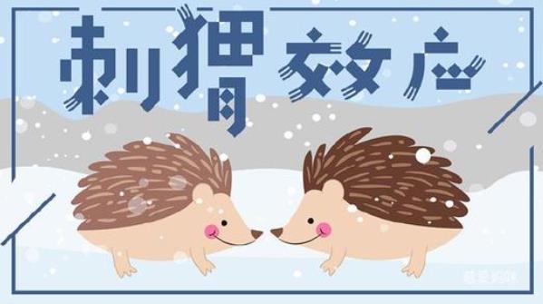 人際中刺猬效應是什么意思？