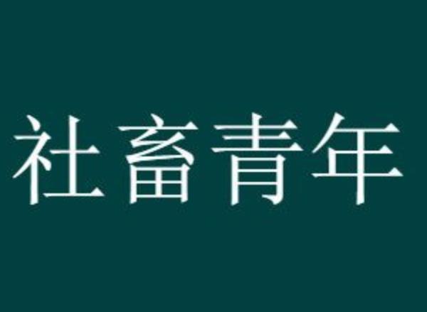 社畜也有分類，要不要看看你是什么類型？