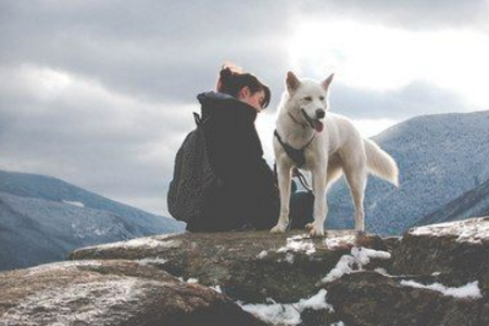 測你容易招惹壞人嗎