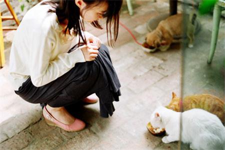 測(cè)試你的愛情有緣人