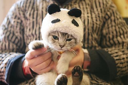 測試你會有什么失敗的借口