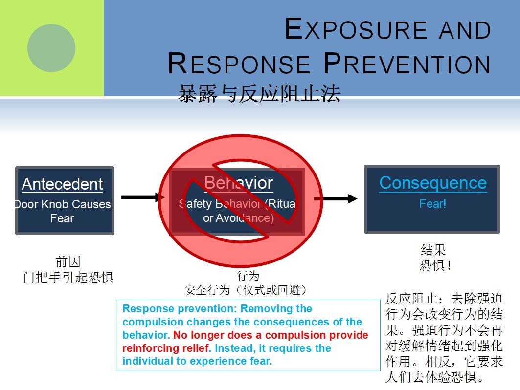 強(qiáng)迫癥與囤積障礙的認(rèn)知行為治療