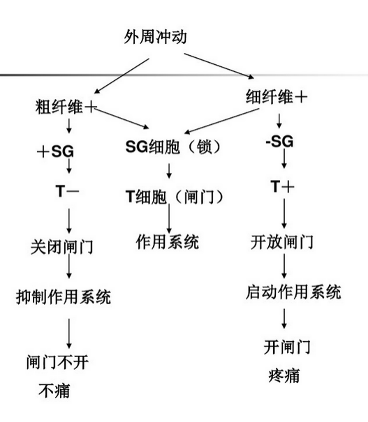疼痛心理學 | 痛著痛著就好了？