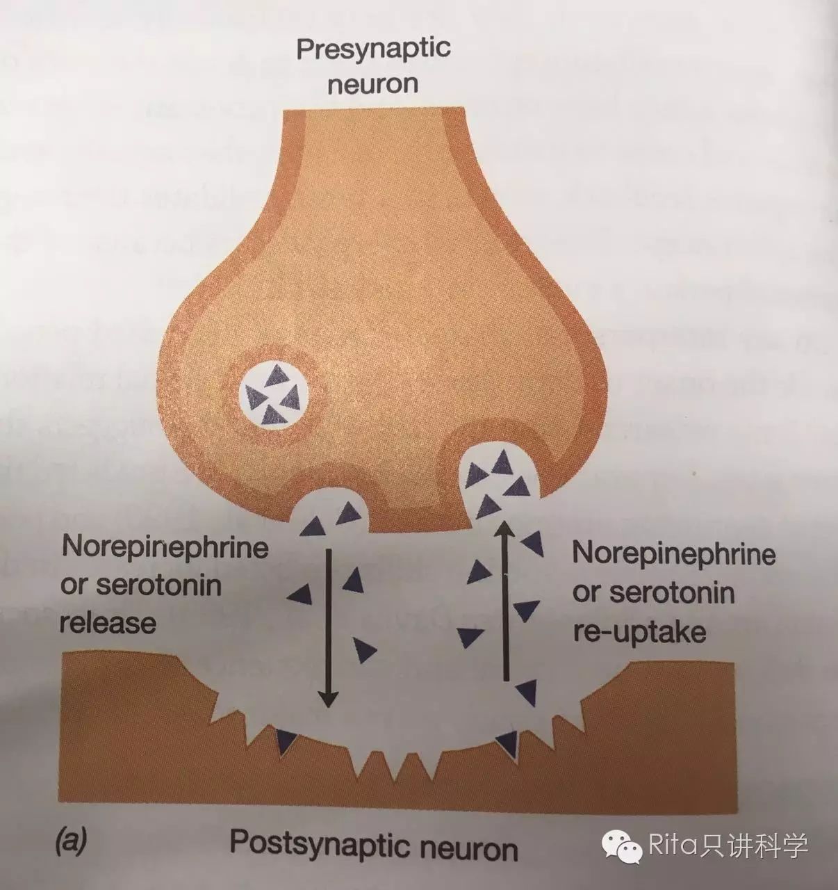 抑郁癥到底是怎么回事