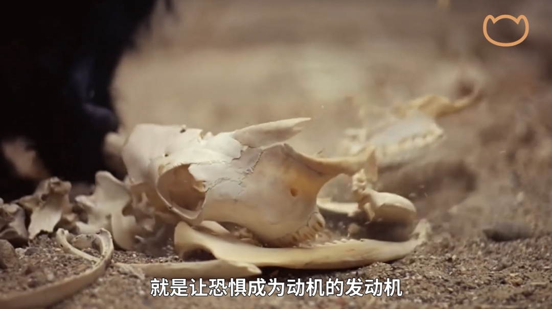 凡爾賽時(shí)代，打工人必修課：老板為什么焦慮?