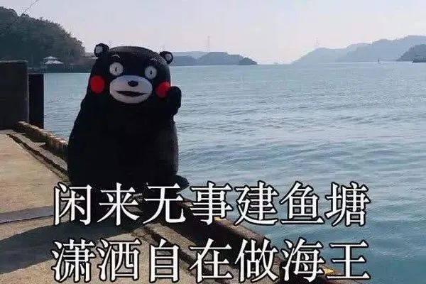 當(dāng)代青年網(wǎng)戀失敗大賞，年底脫單只能靠套路嗎？