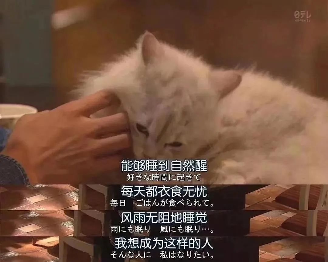 聽(tīng)到什么話會(huì)讓你嚎啕大哭、普通人被愛(ài)的12個(gè)瞬間