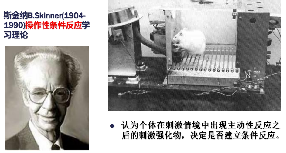 心理咨詢主要分為哪四大學(xué)派？
