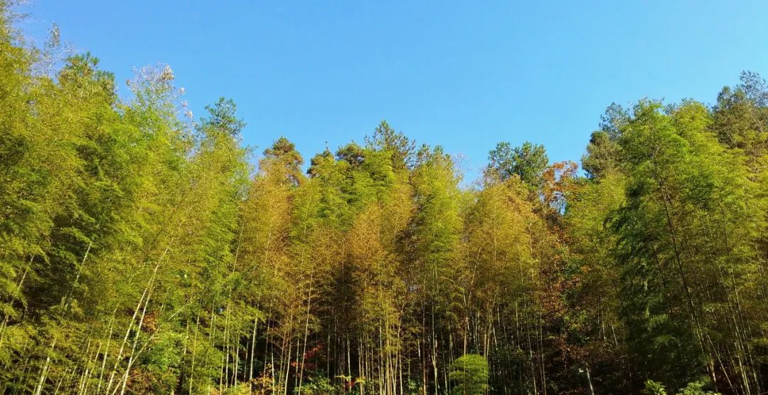 成年人最大的秘密，都暴露在備忘錄里