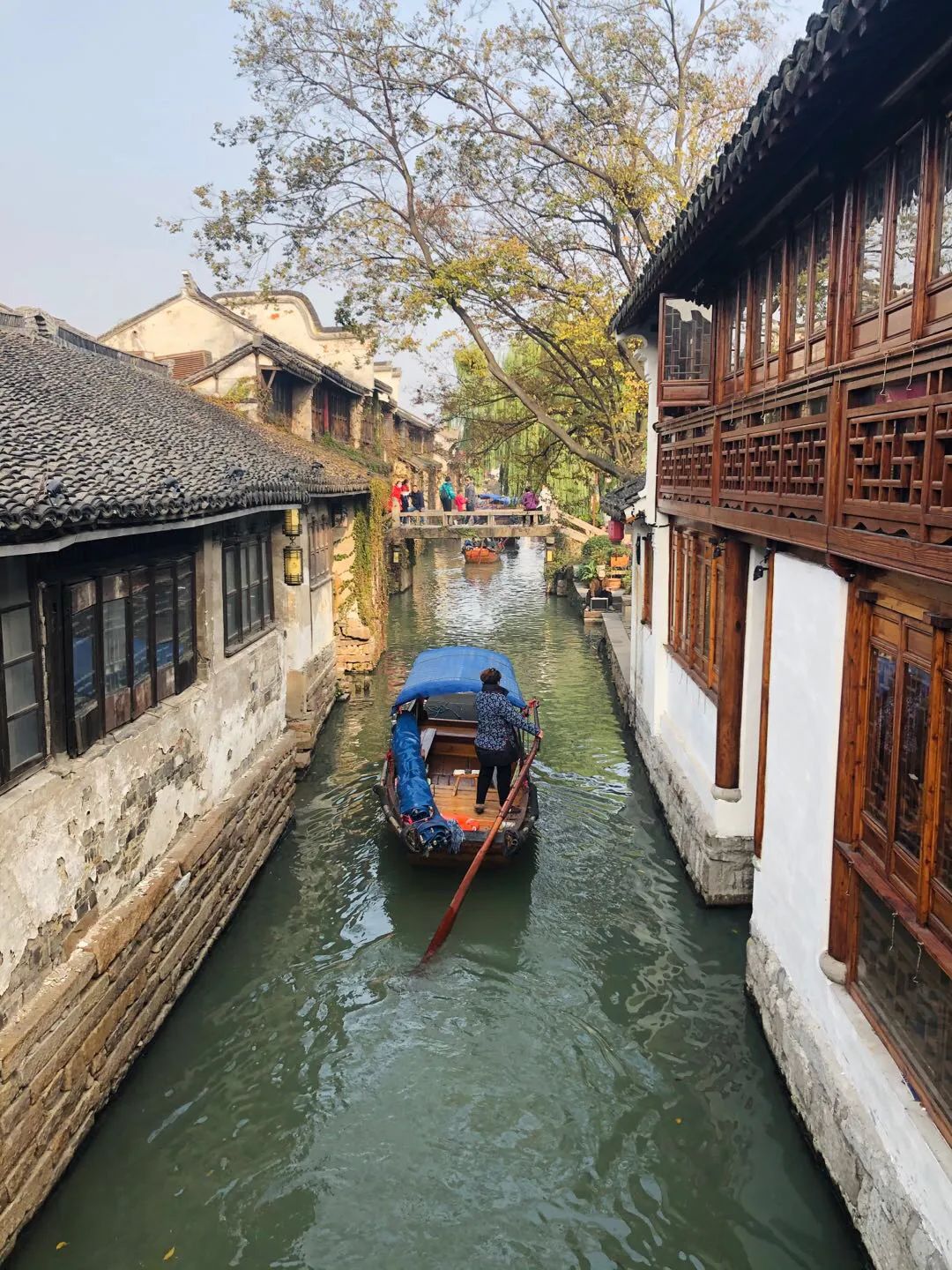 心理咨詢｜學(xué)會(huì)去承受生活的不確定性