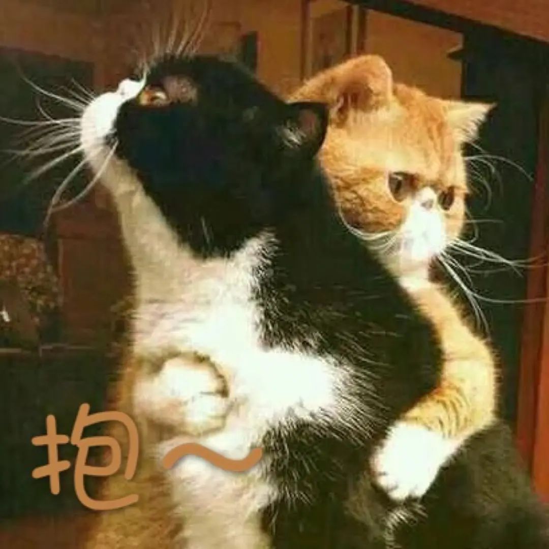 解壓新方式：你有多久沒(méi)擁抱過(guò)別人了？