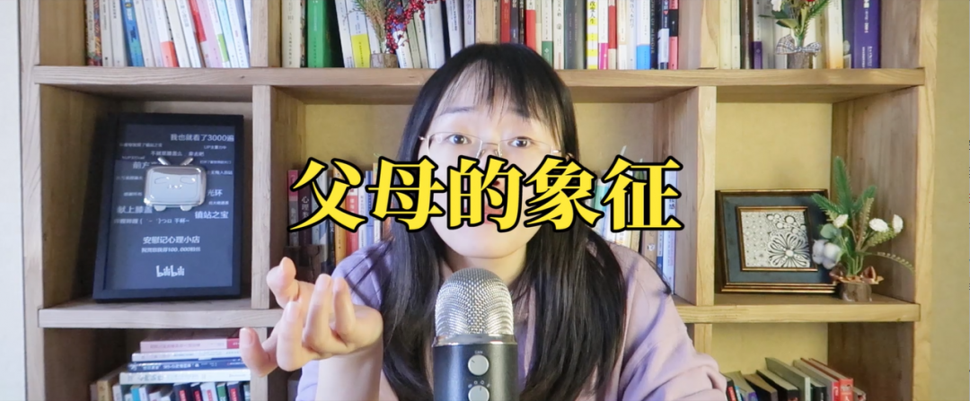 心理學(xué)書籍推薦《執(zhí)迷》