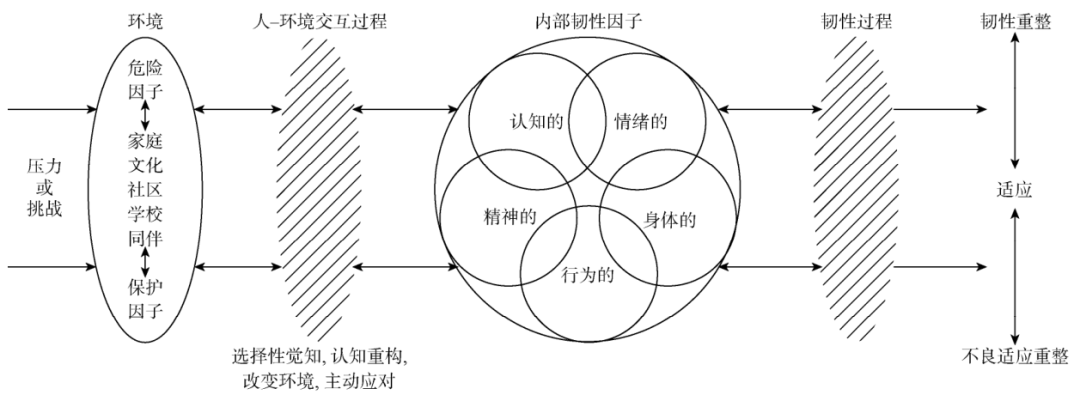 心理韌性：你的抗壓能力從何而來？