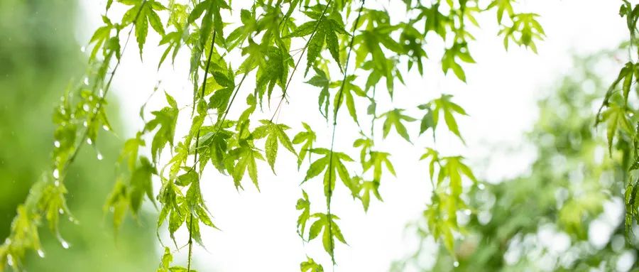 直面恐懼，是我戰(zhàn)勝抑郁癥的關(guān)鍵原因