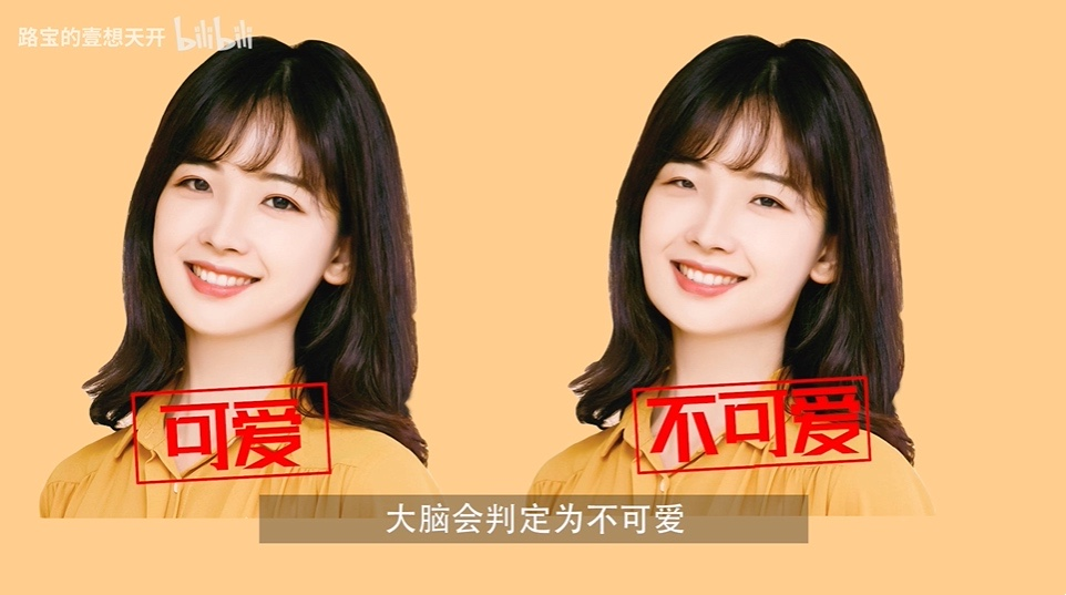 科學(xué)解讀《可愛攻擊》與情緒系統(tǒng)和獎勵系統(tǒng)有關(guān)