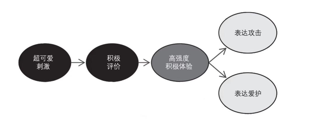科學(xué)解讀《可愛攻擊》與情緒系統(tǒng)和獎勵系統(tǒng)有關(guān)
