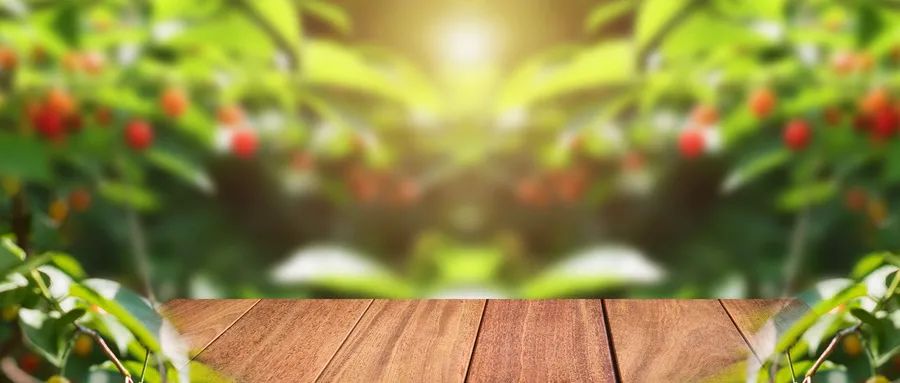 抑郁癥患者的執(zhí)念會(huì)帶來哪些危害