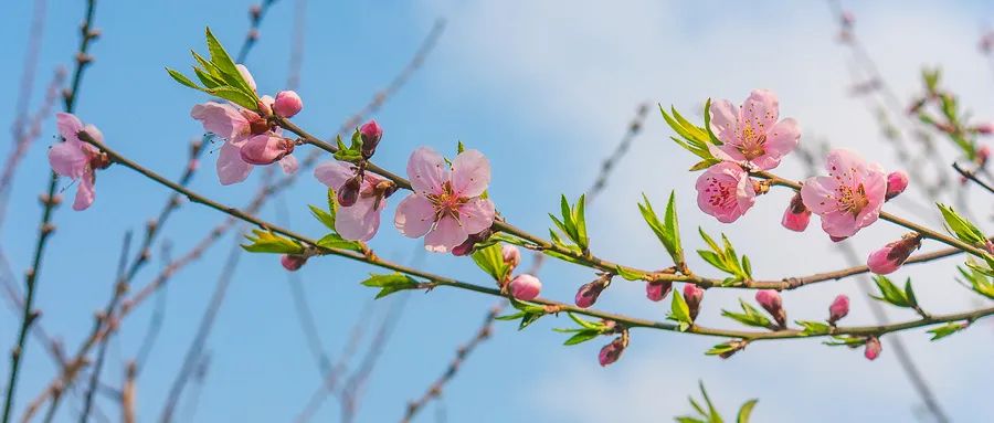 6個(gè)步驟教你有效應(yīng)對內(nèi)心焦慮和恐懼情緒