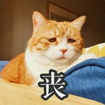 從小缺愛，如何提升愛人的能力？
