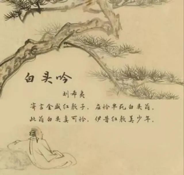 大學(xué)生對(duì)人口老齡化的認(rèn)知、態(tài)度與行為