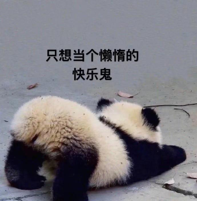 你為什么總是忍不住晚睡？