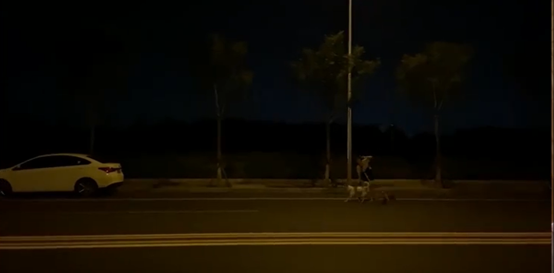你擁有的什么才會讓你感到自由？