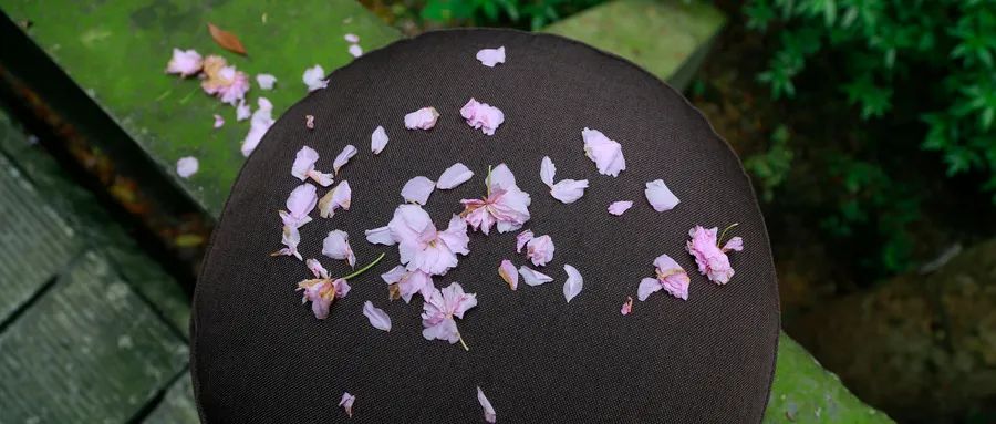 心理咨詢理論屬于西方文化，本質上致力于對欲望的追逐