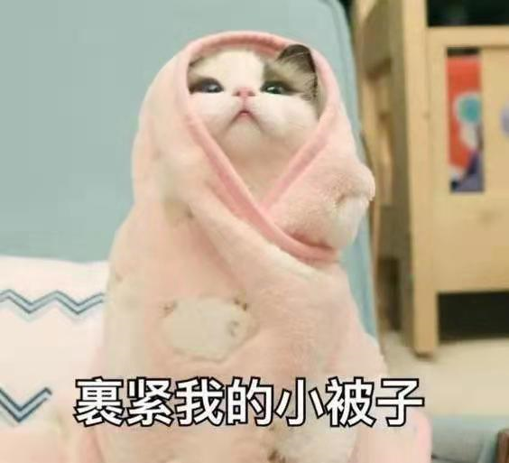什么是阿倫規(guī)律和貝格曼規(guī)律？