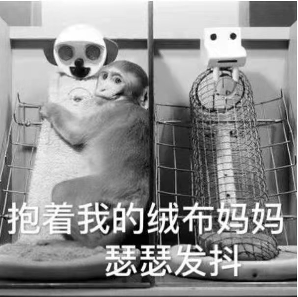 對(duì)柔軟物質(zhì)的天然依賴讓人毫無(wú)抵抗力