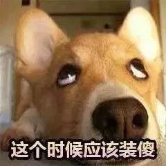 信息回避是什么意思？