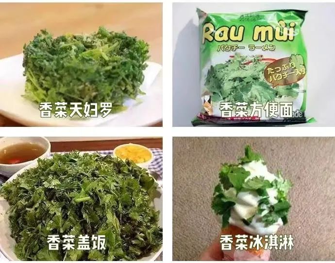 世界討厭香菜日是幾號(hào)？