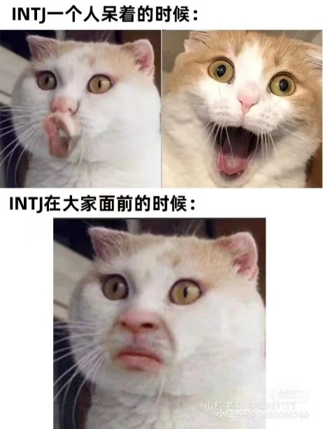MBTI測試結(jié)果怎么看、如何解讀MBTI測試結(jié)果？