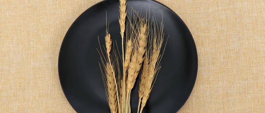 慳吝與囤積欲的心理學(xué)分析