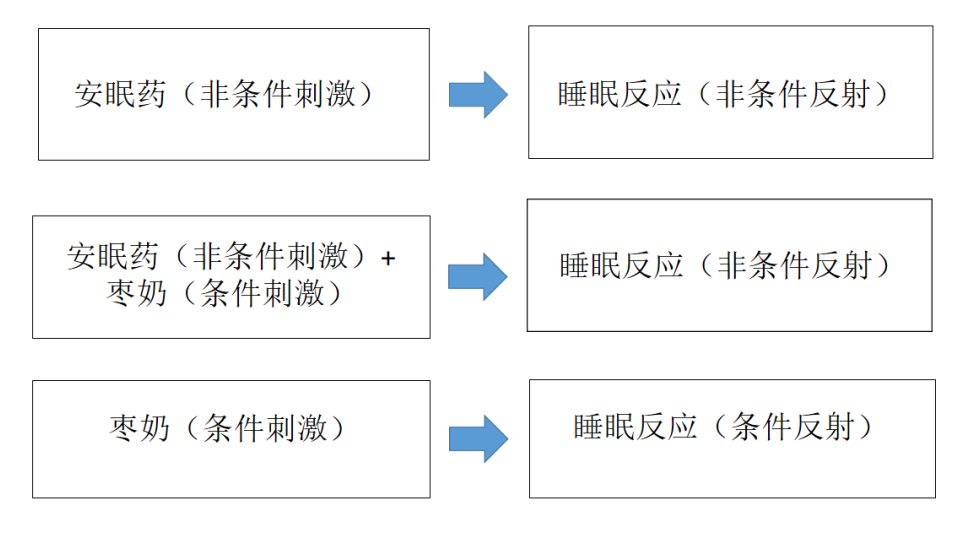 睡眠障礙：為什么會(huì)失眠、又如何改善失眠？