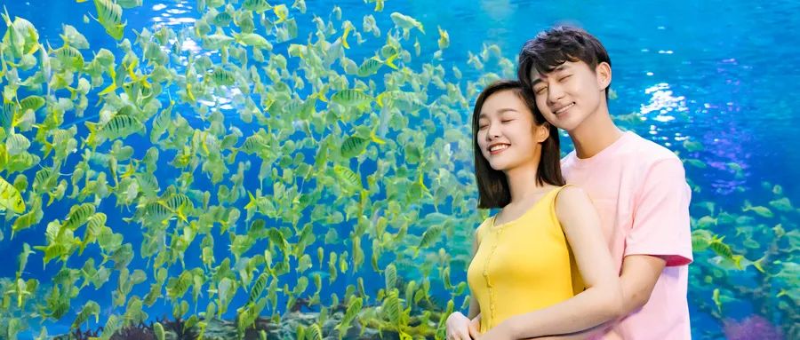 關(guān)于愛情，你必須知道的幾件事