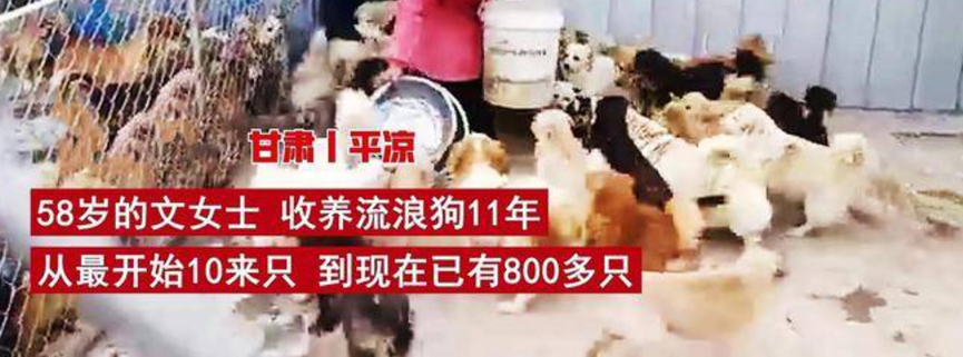 什么是垃圾收藏強(qiáng)迫癥/收藏垃圾怪癖？