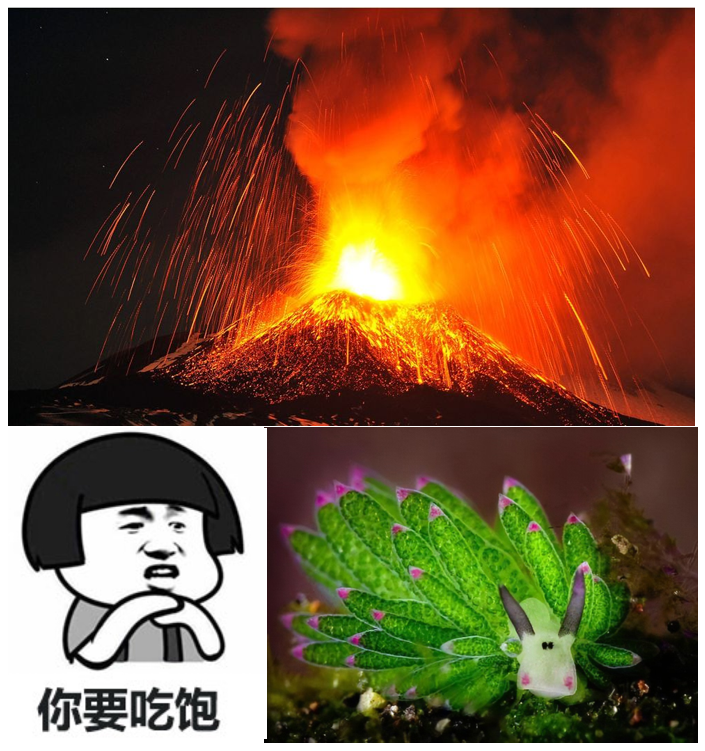 為什么說分享欲是最高級的浪漫
