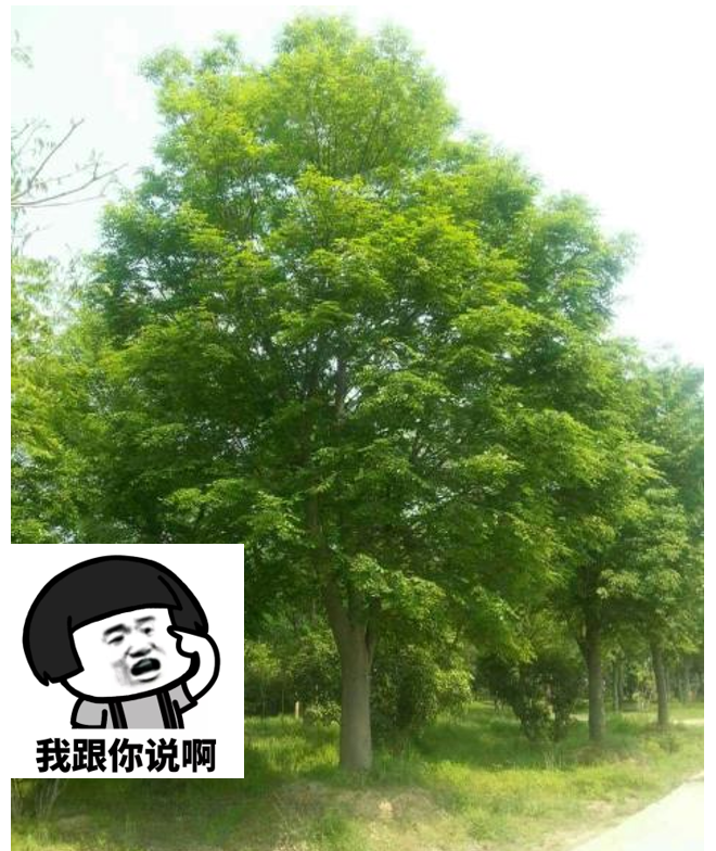 為什么說分享欲是最高級的浪漫