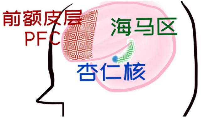 抑郁的表現(xiàn)有哪些行為