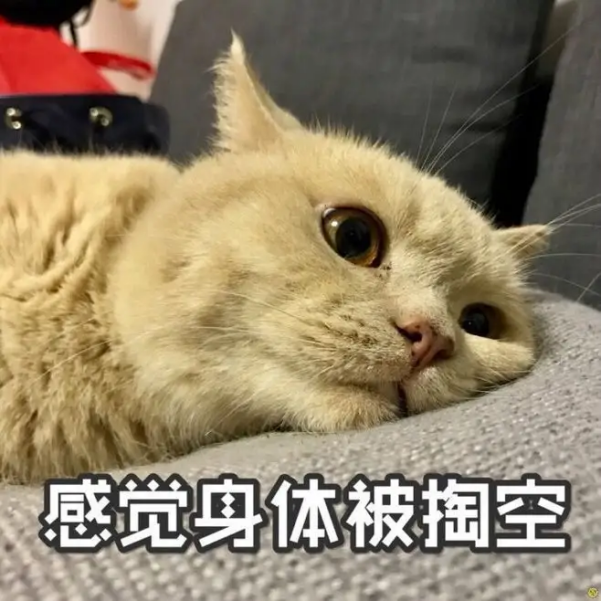 過度共情是什么意思?