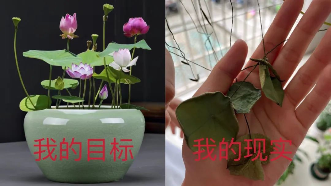 想退休的年輕人都在期待什么？