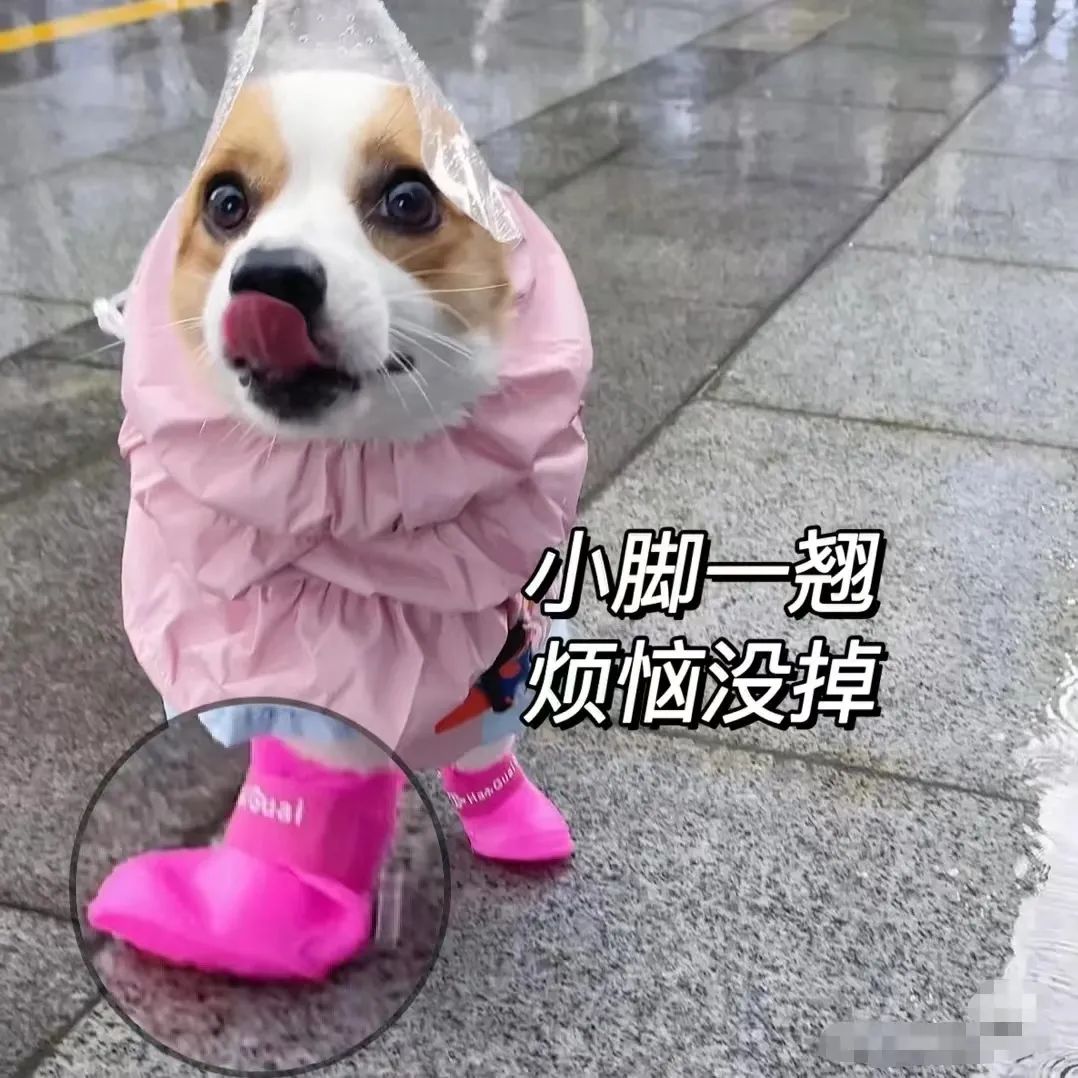 想退休的年輕人都在期待什么？