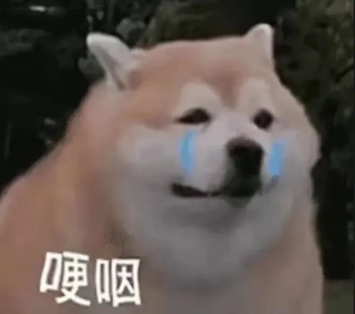想退休的年輕人都在期待什么？
