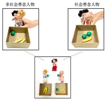 兒童社會(huì)善念理解的發(fā)展與心理理論的關(guān)系